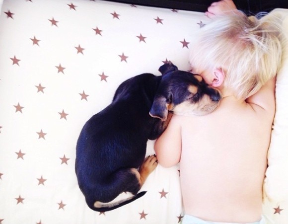 幼い子犬と幼い息子の友情の記録写真