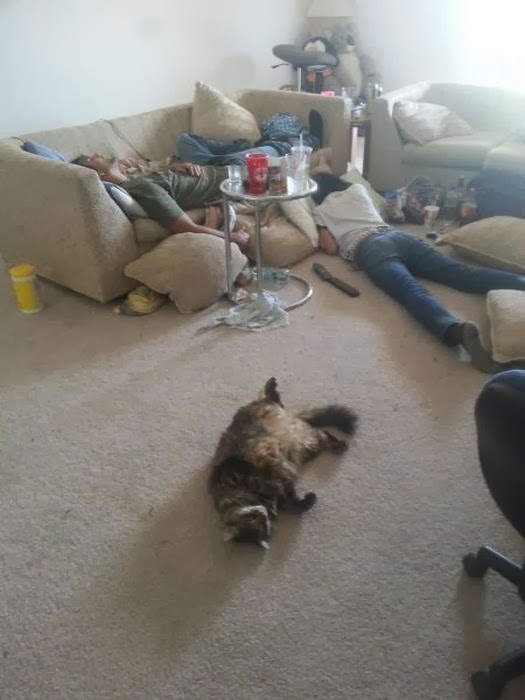 お酒を飲んで、逆にお酒に飲まれた人の無様な写真