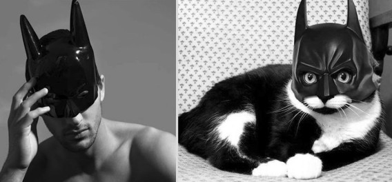 どっちが好き？同じようなポーズのイケメンと猫の比較画像