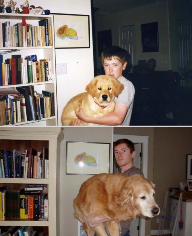 愛しいペットと一緒に撮影した、過去と現在の写真