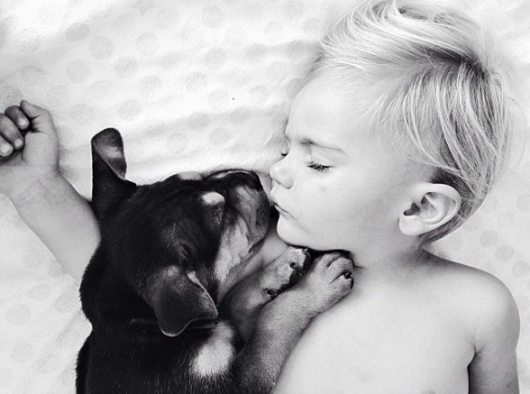 幼い子犬と幼い息子の友情の記録写真