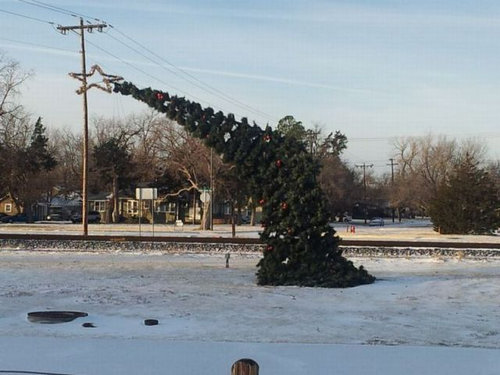 ちょっと笑えるクリスマスの写真