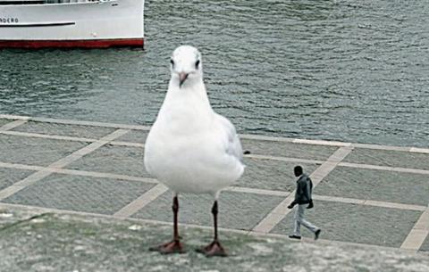 思わず2度見てしまう写真