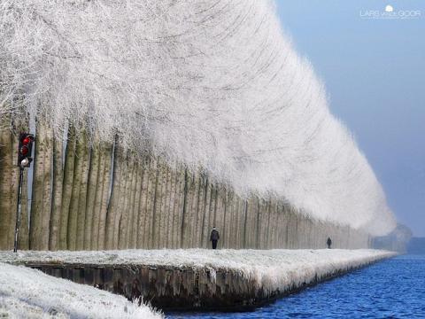 冬を感じる事ができる写真